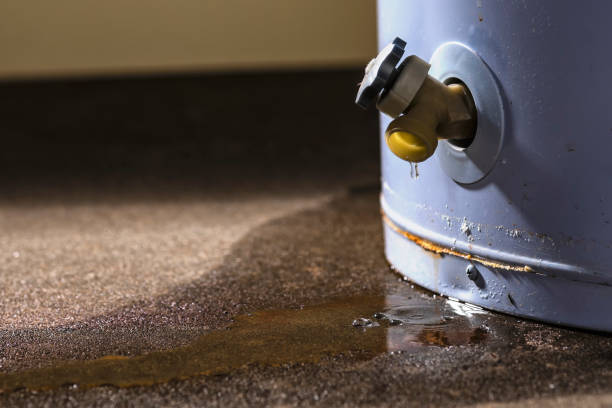 Best Mold removal after water damage  in West Point, GA