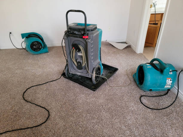 Best Flood damage cleanup  in West Point, GA