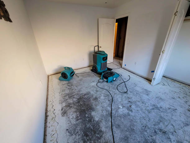 Best Water damage contractors near me  in West Point, GA