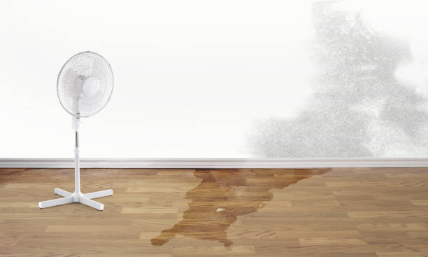 Best 24-hour water damage restoration  in West Point, GA
