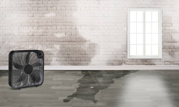 Best Water damage cleanup near me  in West Point, GA