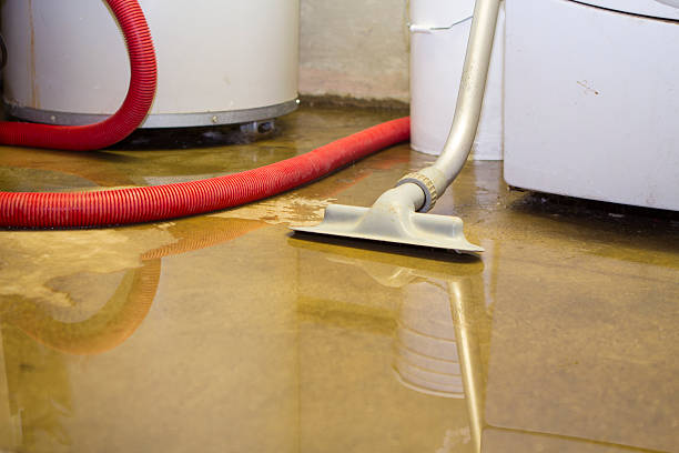Best Water damage restoration experts  in West Point, GA