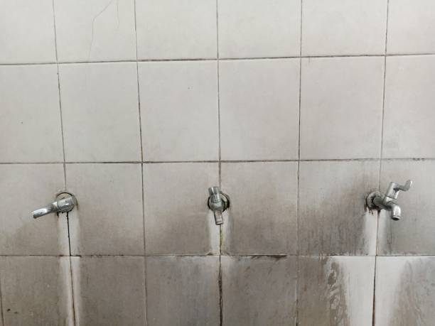 Best Flood damage cleanup  in West Point, GA