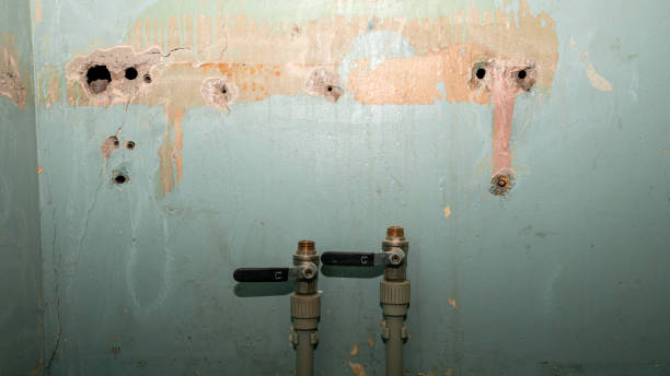 Best Flood restoration services  in West Point, GA