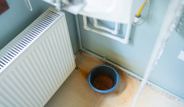 Best Ceiling water damage repair  in West Point, GA