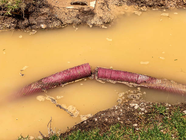  West Point, GA Water damage restoration Pros