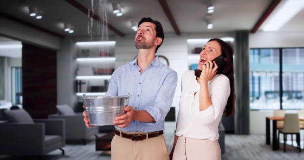 Best Professional water damage repair  in West Point, GA