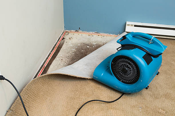 Best Sewage cleanup and water damage restoration  in West Point, GA